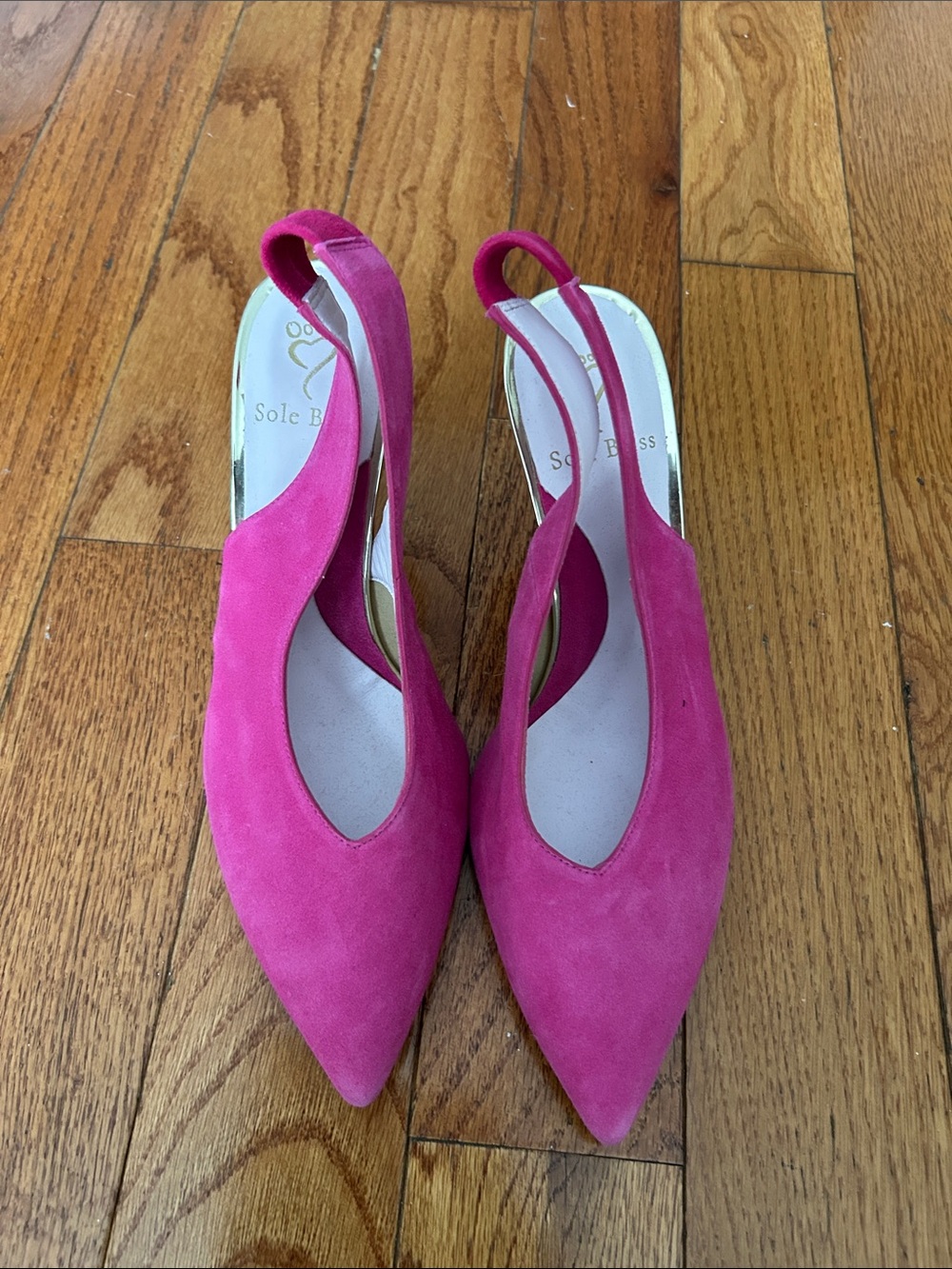 Sole Bliss Hot Pink Suede Pointed Slingback Heels